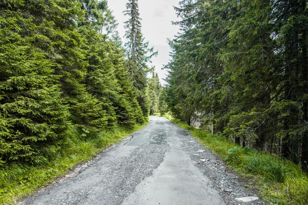 Parque Nacional High Tatras, Eslovaquia, Europa. Ruta de senderismo al lago de montaña Batizovske pleso y Sliez