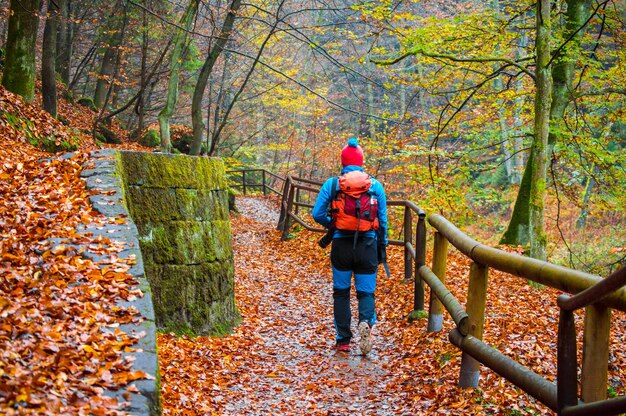 Foto parque nacional de hrensko, bohemia suiza en la república checa, hermosa naturaleza.