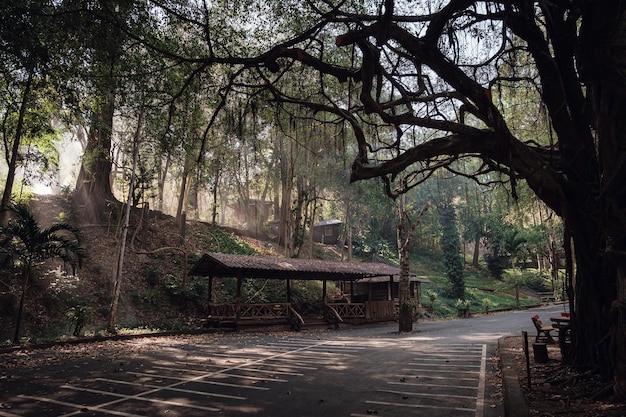 Parque Nacional Lan Sang na Tailândia viaja leve