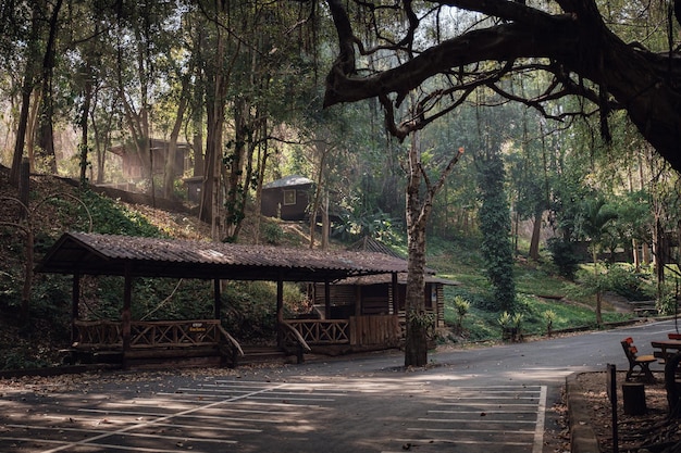 Parque Nacional Lan Sang en Tailandia viaje ligero