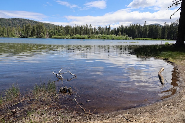 parque nacional lassen california