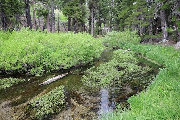 parque nacional lassen california