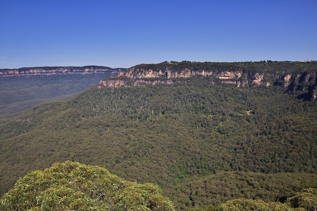 Parque nacional de las montañas azules, Australia