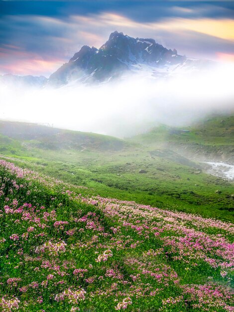 Parque Nacional de las Montañas Kakar Flores y gran montaña