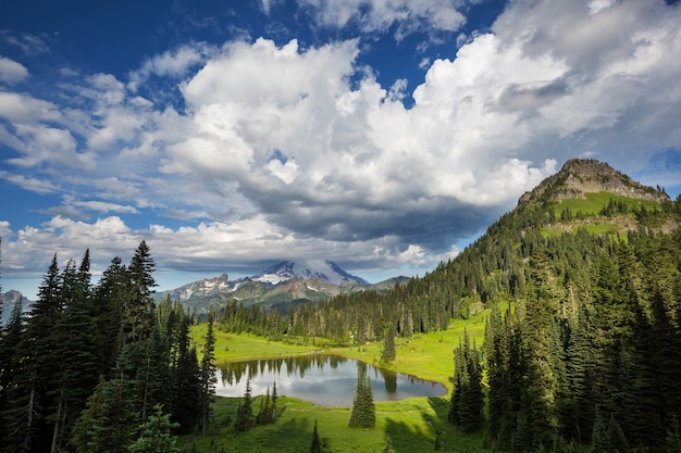 Parque Nacional Monte Rainier, Washington