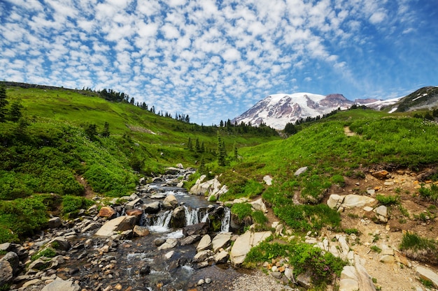 Parque Nacional Monte Rainier, Washington