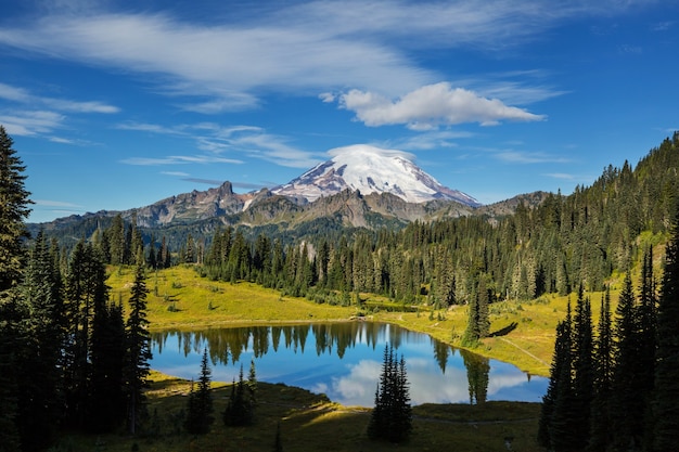 Foto parque nacional monte rainier, washington