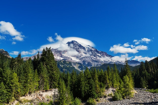 Parque Nacional Monte Rainier, Washington