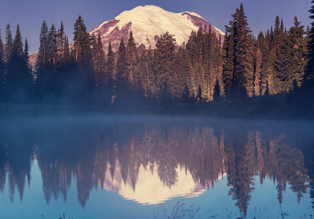 Parque Nacional Monte Rainier, Washington