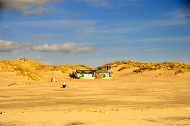 Parque Nacional y Natural de Doñana en Andalucía.