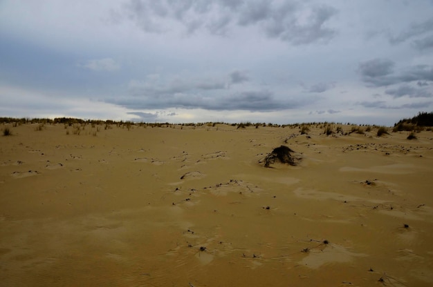 Parque Nacional y Natural de Doñana en Andalucía.