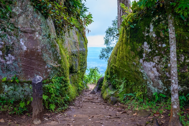 Parque Nacional Phu Hin Rong Kla, Provincia de Phitsanulok