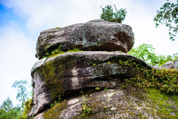 Parque Nacional Phu Hin Rong Kla, Provincia de Phitsanulok