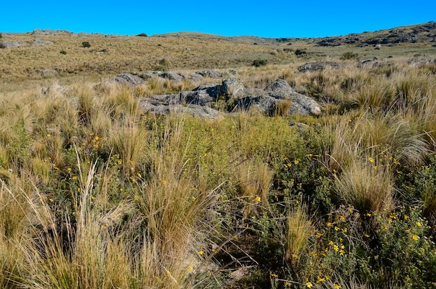 Parque Nacional Quebrada del Condorito paisaje provincia de Córdoba Argentina