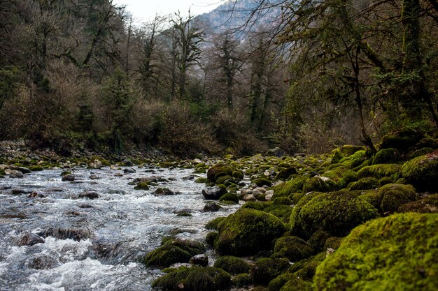 Parque nacional y rio