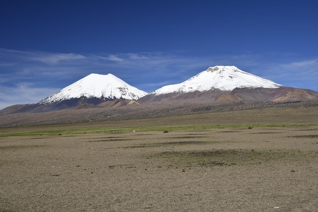 Parque Nacional Sajama rodeado de montañas nevadas con nubes negras rodeadas de vegetación seca Bolivia