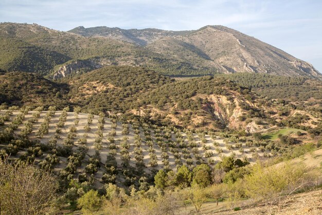 Parque Nacional Sierra Mágina en Jaén, España