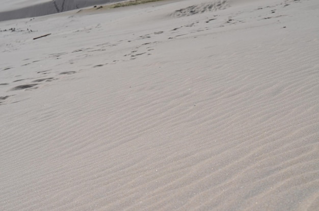 Parque Nacional Slovinski Leba duna de arena en la costa báltica Polonia Europa