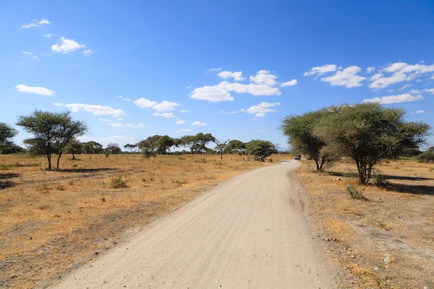 Parque Nacional Tarangire paisaje Tanzania África