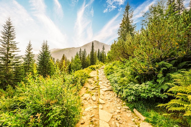 Parque Nacional Tatra na Polônia Panorama das montanhas Tatra Caminhadas no vale Gasienicowa Hala Gasienicowa para Czarny Staw Gasienicowy perto de Kasprowy Wierch