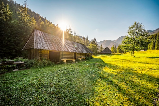 Parque Nacional Tatra na Polônia Tatra montanhas panorama Polônia flores coloridas e chalés no vale Gasienicowa Hala Gasienicowa Caminhadas na natureza perto de Kasprowy Wierch