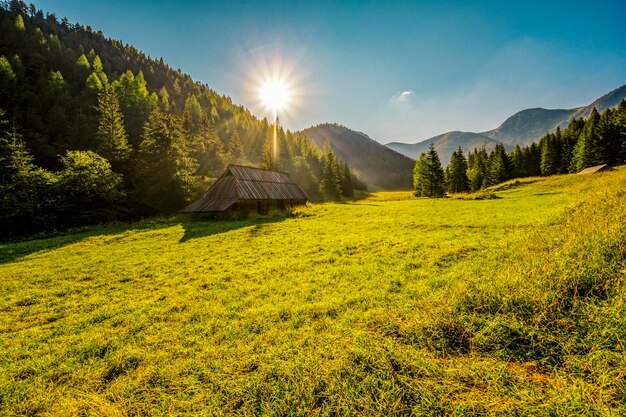 Parque Nacional Tatra en Polonia Panorama de las montañas Tatra Polonia coloridas flores y cabañas en el valle de Gasienicowa Hala Gasienicowa Senderismo en la naturaleza cerca de Kasprowy Wierch