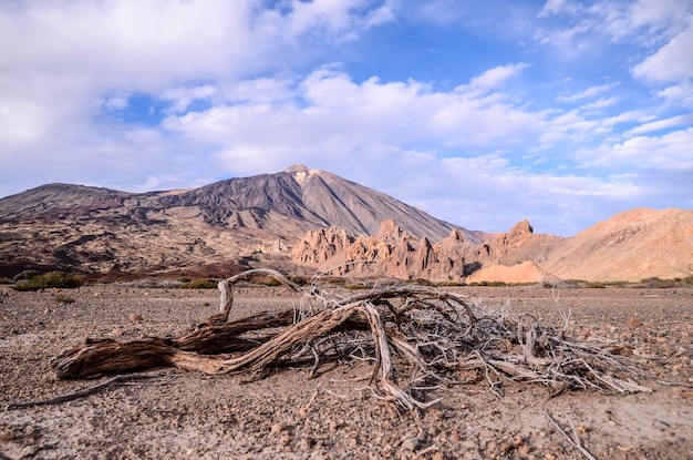 Parque Nacional del Teide