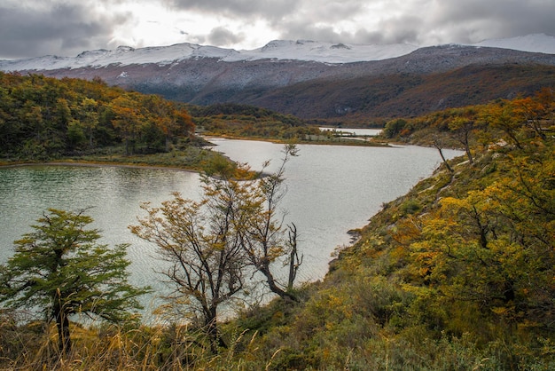 Parque Nacional Terra do Fogo Ushuaia Argentina