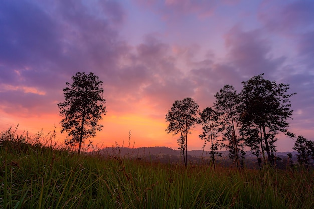 Parque Nacional Thung Salaeng Luang Hermosas colinas verdes que brillan intensamente cálido amanecer