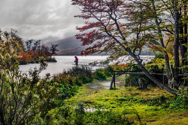 Parque Nacional Tierra del Fuego Patagonia, Argentina