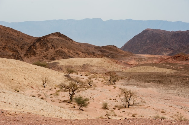 Parque nacional timna, localizado 25 km ao norte de eilat, israel.