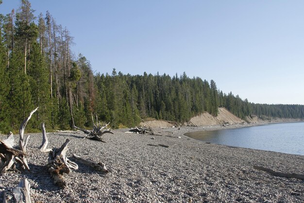 Parque Nacional de Yellowstone en Wyoming EE.UU.