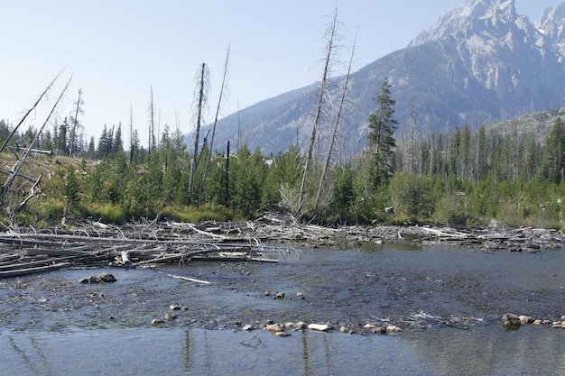 Parque Nacional de Yellowstone en Wyoming EE.UU.