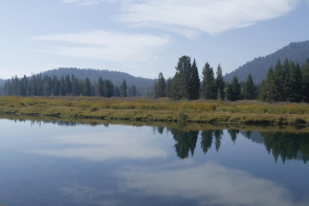 Parque Nacional de Yellowstone en Wyoming EE.UU.