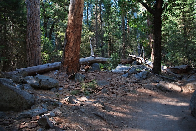 Parque Nacional de Yosemite en California, EE. UU.