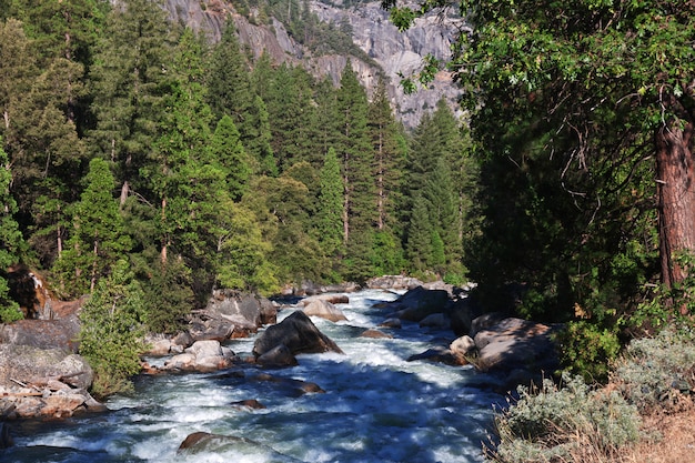 Parque Nacional de Yosemite en California, EE. UU.