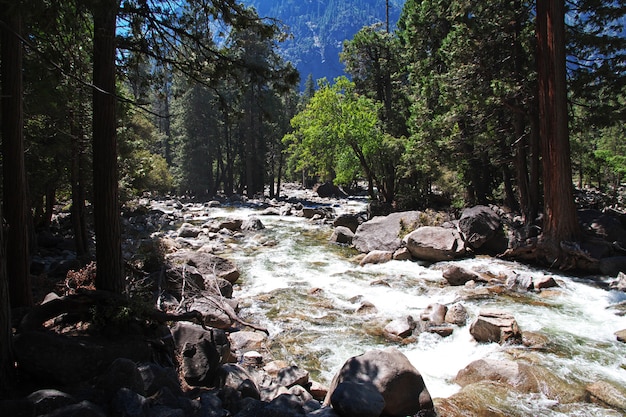 Parque Nacional de Yosemite en California, EE. UU.