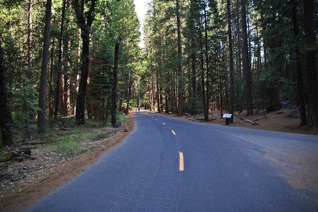 Parque Nacional de Yosemite en California, EE. UU.