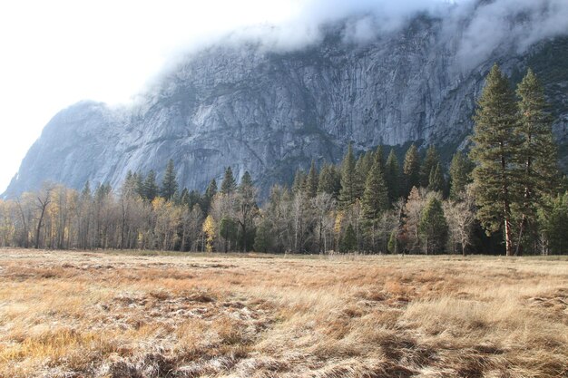 Parque nacional de Yosemite en otoño