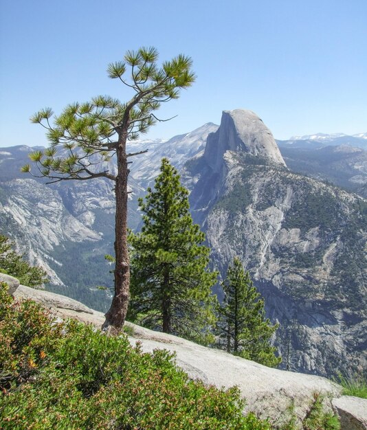 El Parque Nacional de Yosemite