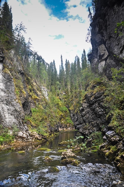 Parque Nacional Yugydva Sitio UNESCO Bosques Vírgenes de Komi