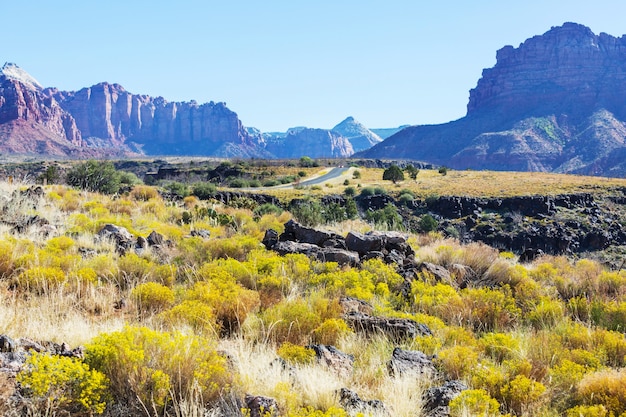 Parque Nacional Zion. Paisajes naturales hermosos e inhóspitos.