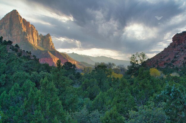 Foto parque nacional zion en utah estados unidos en el punto de vista de watchman viajes y turismo