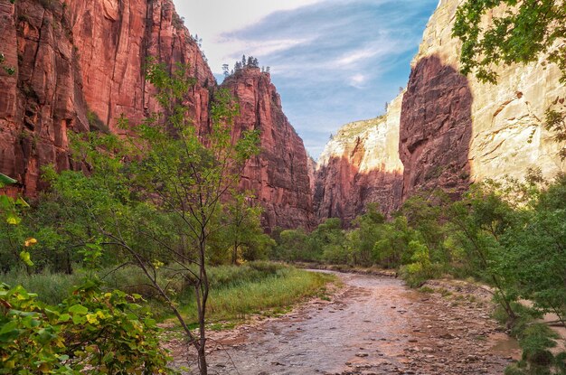 Foto en el parque nacional de zion utahusa contra el cielo azul