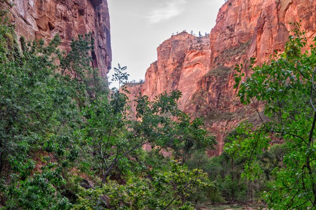 En el parque nacional de Zion UtahUSA contra el cielo azul