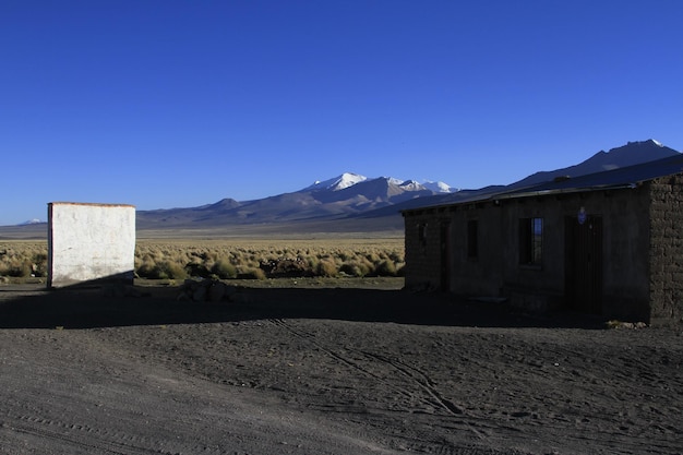 Parque National Sajama Bolivien