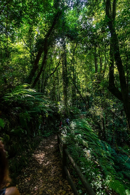 Parque natural Cubo de la Galga en la costa noreste de la isla de La Palma