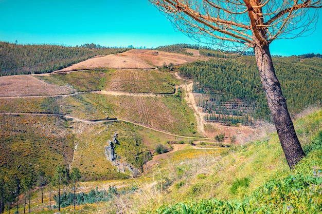 Parque Natural da Serra da Estrela Portugal Europa