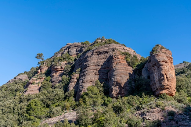 Parque natural de "Sant Llorens de Munt il'Obac" em Barcelona.