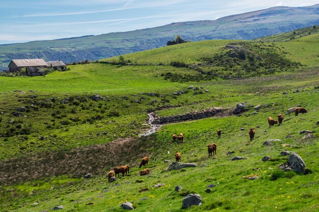 Parque Natural dos Vulcões de Auvergne